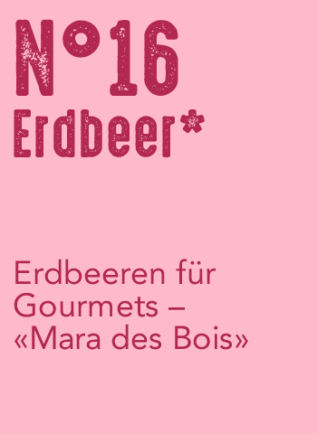N°16 Erdbeer*